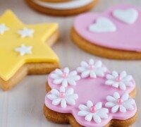 Moule cookie wilton